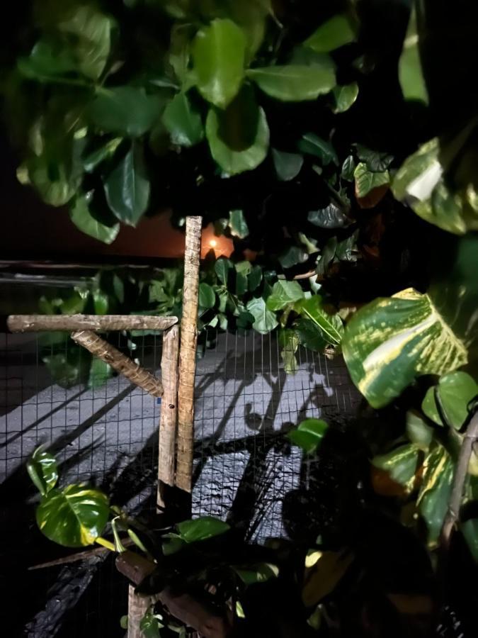 Vila Dos Gnomos Paraiso Mistico Pe Na Areia 일례우스 외부 사진